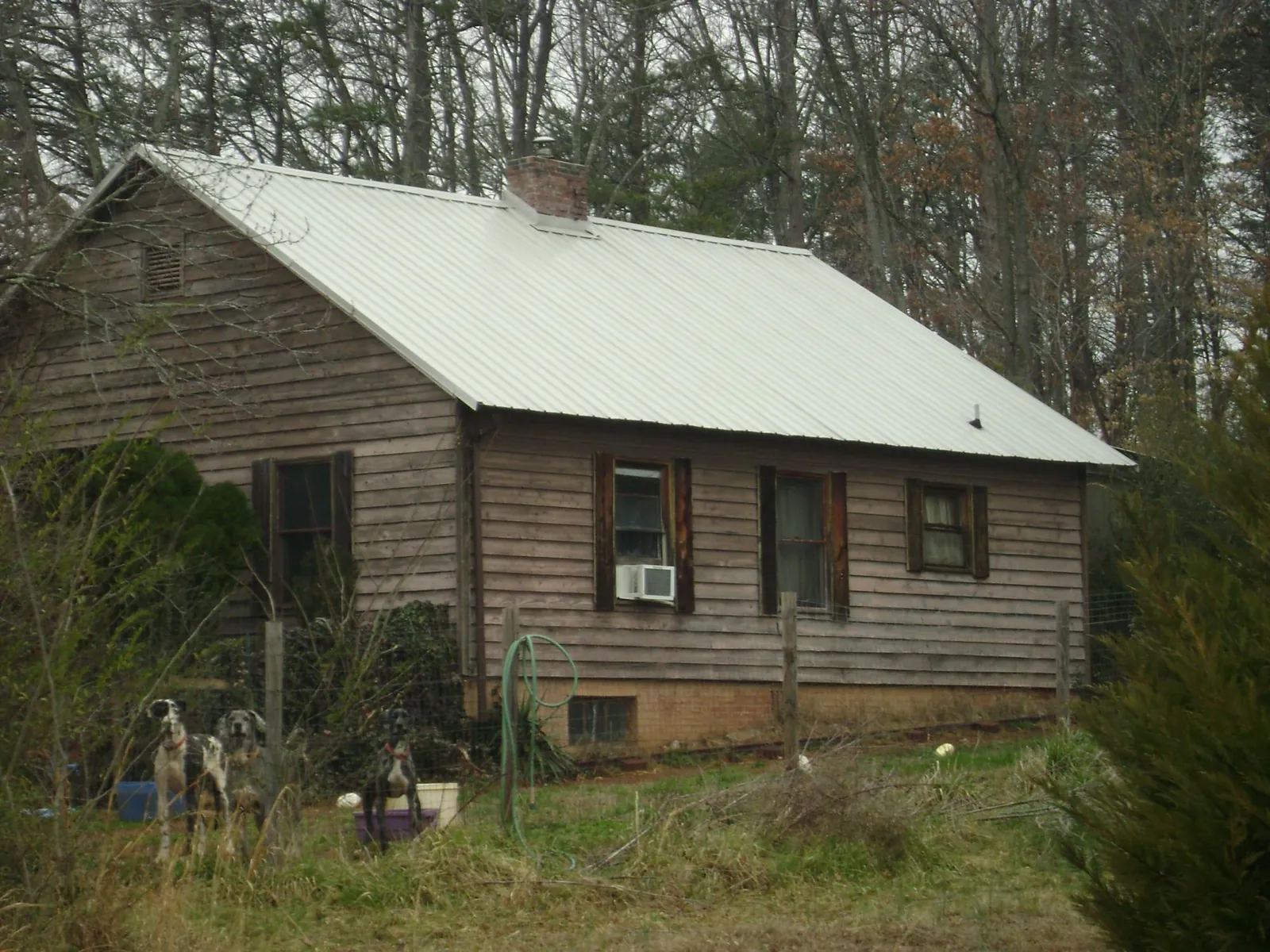 White metal roof on an old wood sided farmhouse, from a Asphalt Shingle Roof Repair job in Eastport